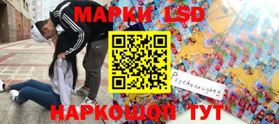 мдпв Будённовск