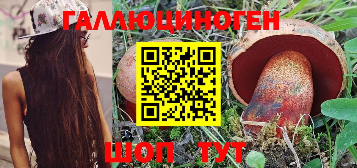 Псилоцибиновые грибы мицелий Пятигорск